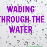 HERE'S WHAT'S UP: WADING THROUGH THE WATER