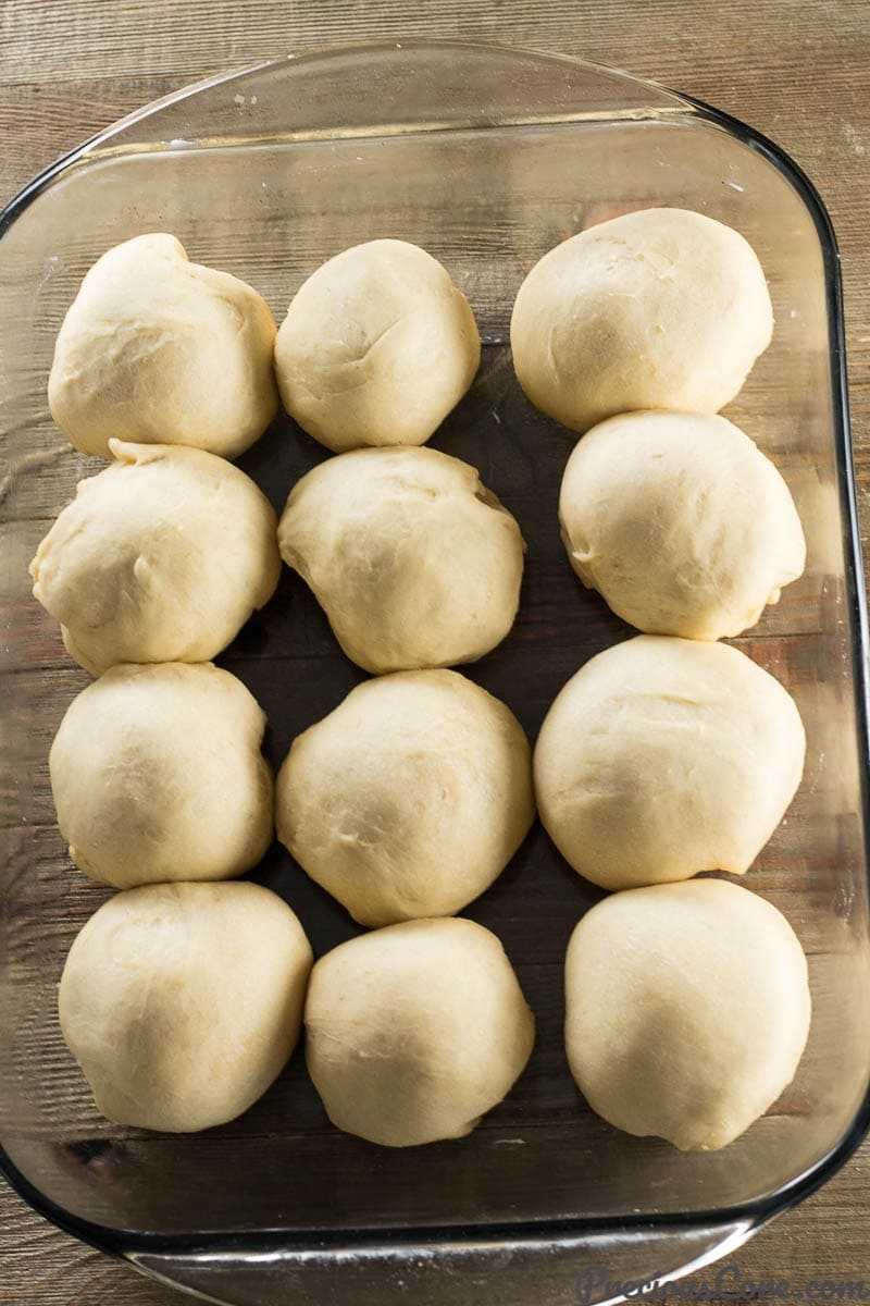 Dinner Rolls Ready for Baking