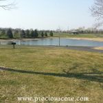 HERE'S WHAT'S UP: SWINGING INTO SPRING