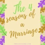 THE FOUR SEASONS OF A MARRIAGE