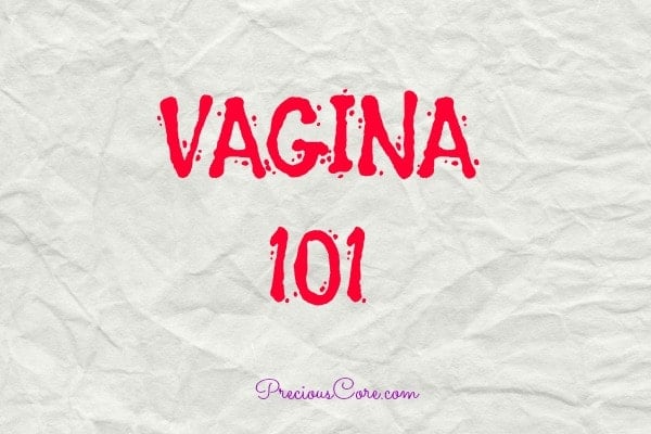 All about the vagina