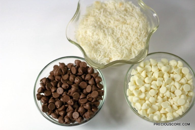 Bowl of chocolate chips and coconut flakes.