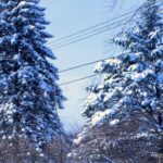 HERE'S WHAT'S UP: WINTER