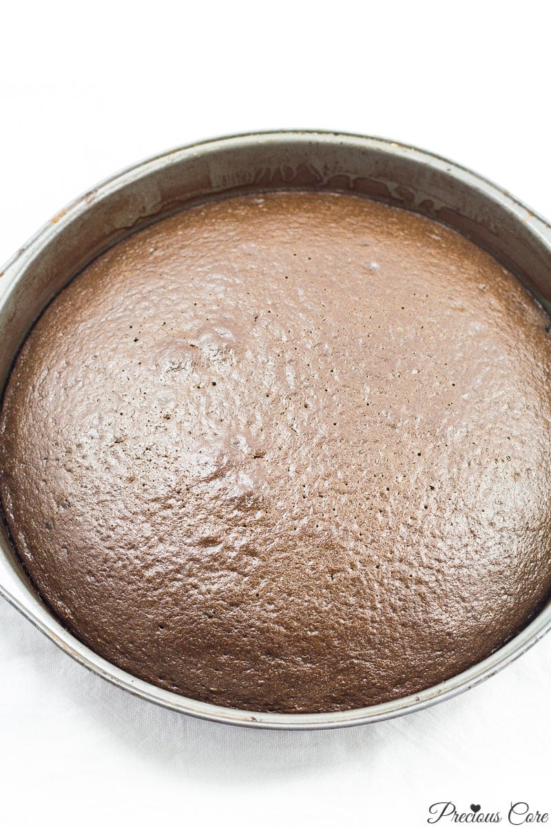 classic chocolate cake just baked