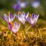 SIX THINGS THIS SUNDAY