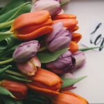 7 THINGS A MARRIAGE CAN'T SURVIVE WITHOUT