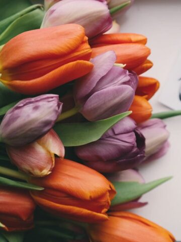 marriage tips precious core