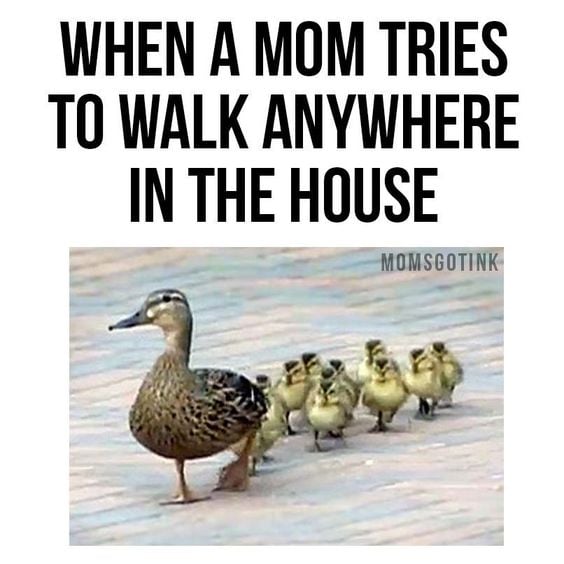 motherhood memes