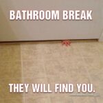 15 MOTHERHOOD MEMES THAT REFLECT MY LIFE AS A MOTHER