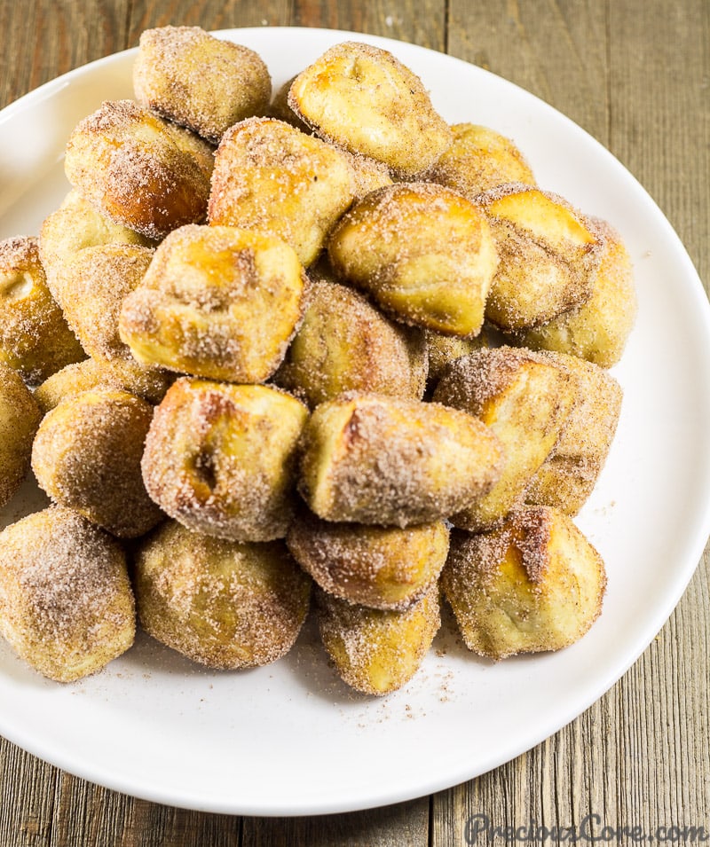 Homemade Cinnamon Sugar Pretzel Bites. Get the recipe on preciouscore.com