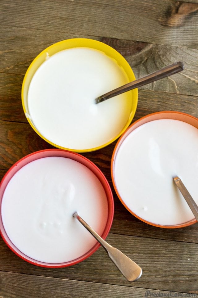 HOMEMADE YOGURT (VIDEO) Precious Core