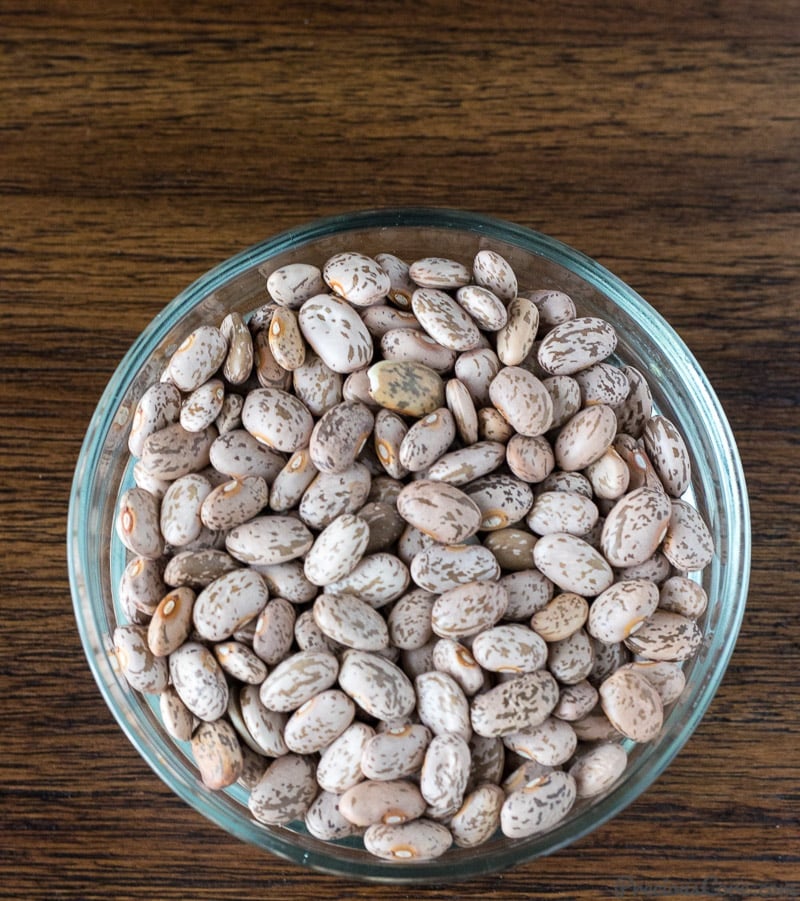 Bowl of dried pinto beans