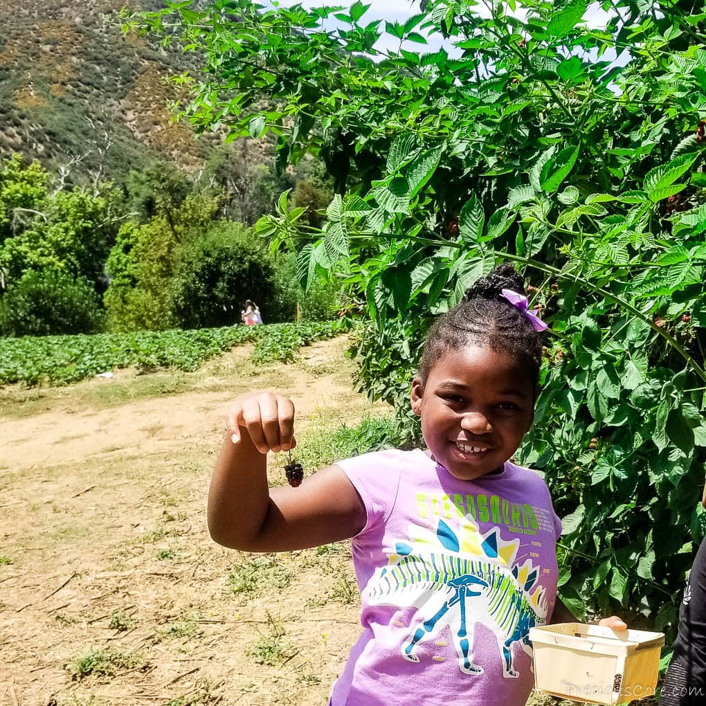 Girl smiling while holding a berry.