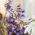 On Forgiving Myself