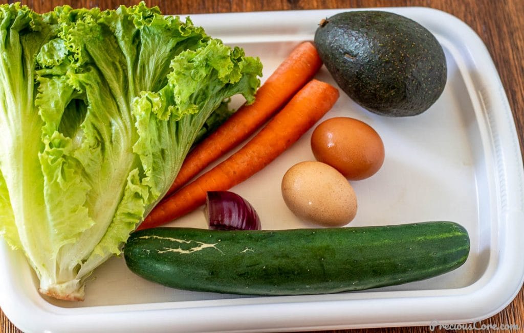 lettuce, carrots, cucumber, avocado, eggs on a tray