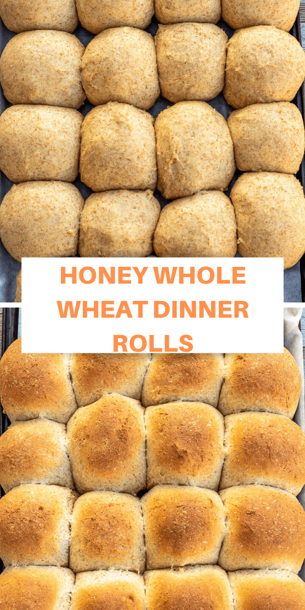 Honey Whole Wheat Dinner Rolls Precious Core