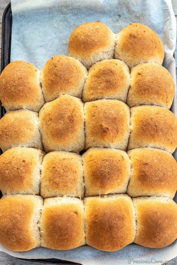 Baked honey whole wheat dinner rolls on a baking sheet lined with parchment paper