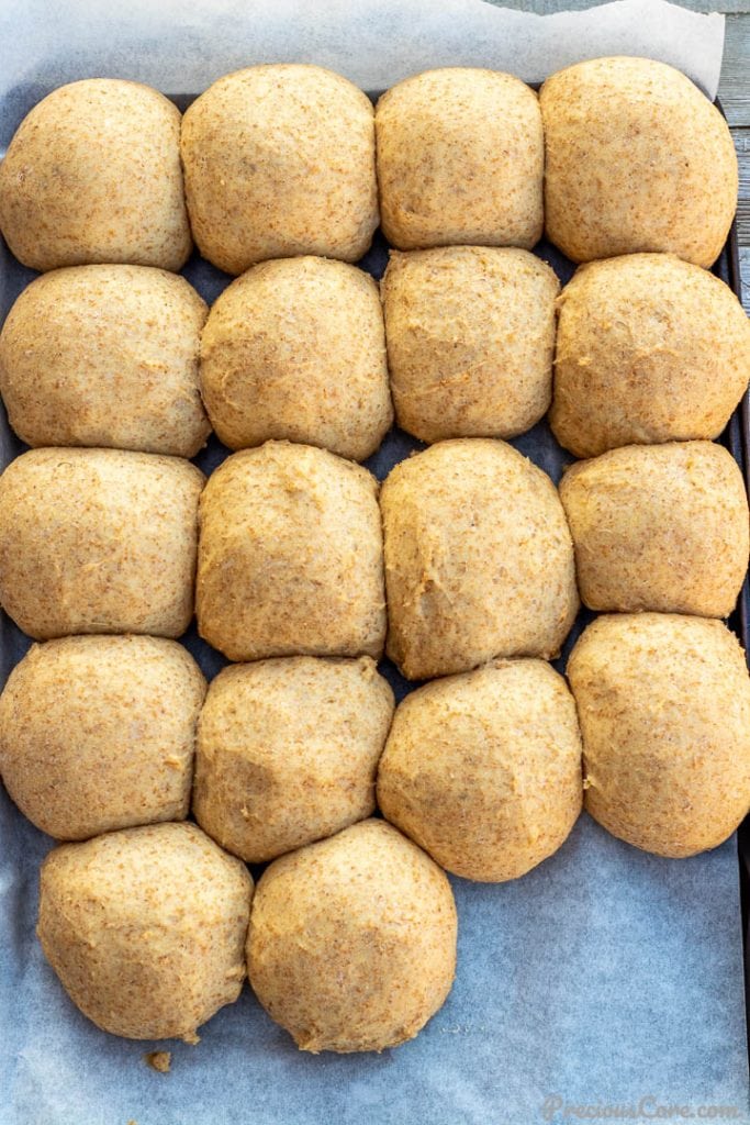 Raw unbaked dinner rolls on a baking sheet