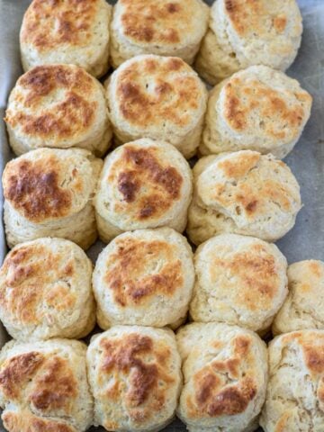 Biscuits made with cream cheese on a baking sheet.