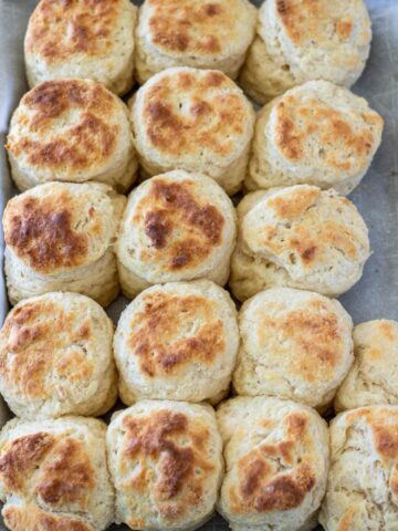 Biscuits made with cream cheese on a baking sheet.