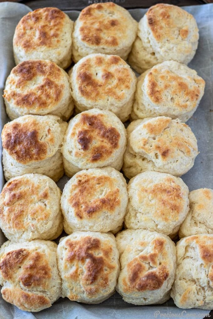 Biscuits made with cream cheese on a baking sheet.