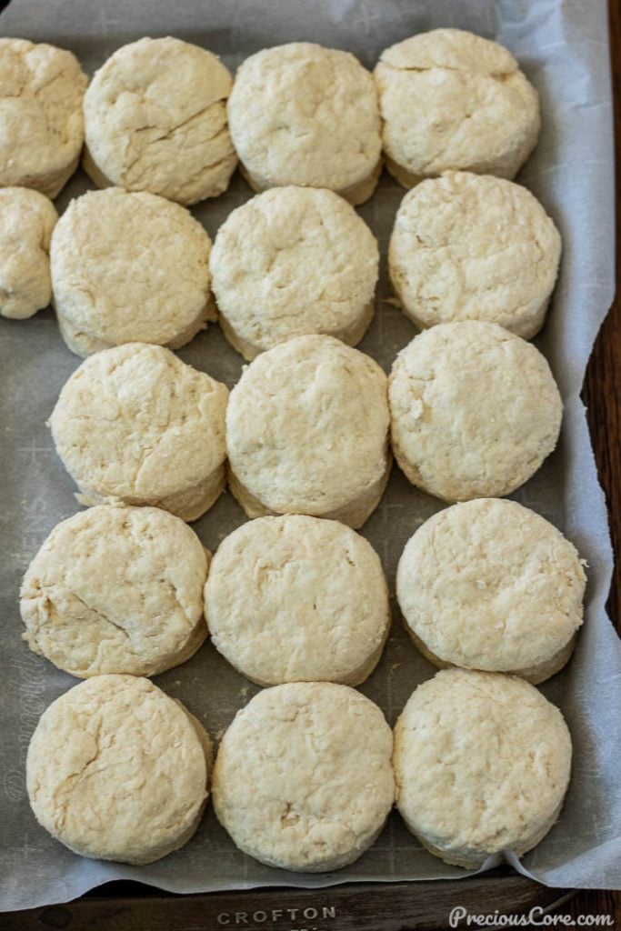 Biscuit Dough on baking sheet, ready to be baked