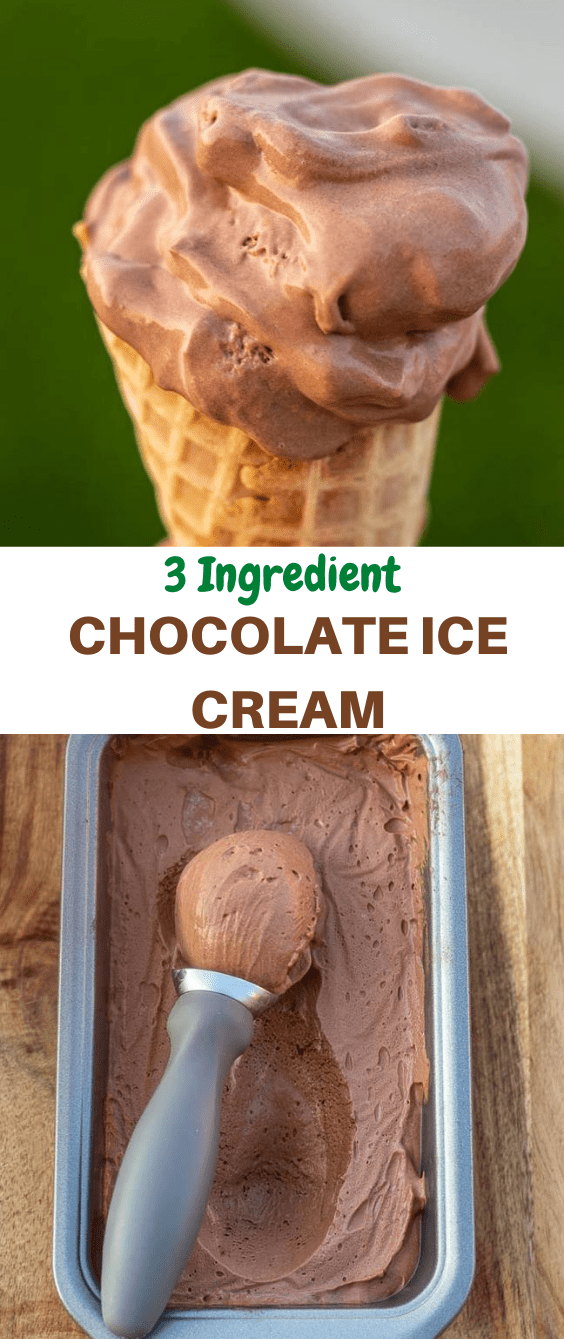 Homemade Chocolate Ice Cream | 3 Ingredients (+ VIDEO)