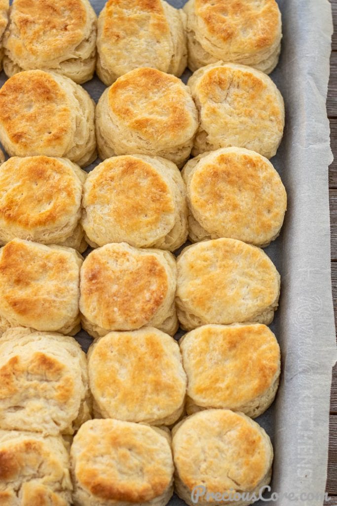 Baked biscuits on sheet