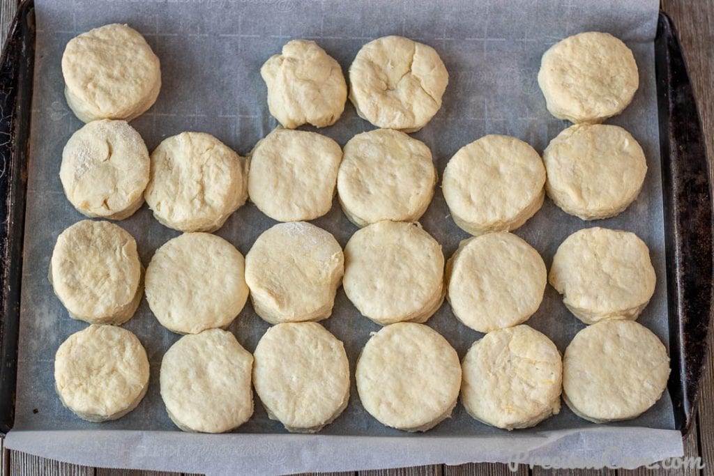 Cut out biscuits on baking sheet