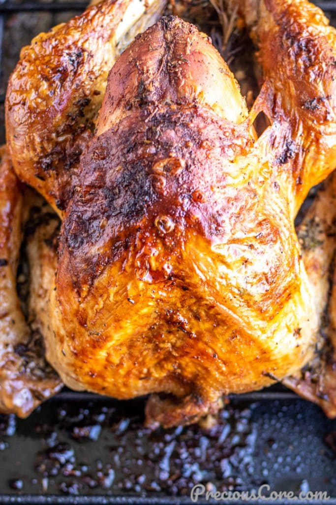 Roasted turkey in roasting pan