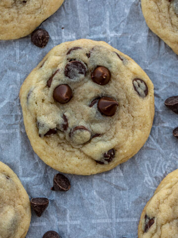 Close up on a chocolate chip cookie.