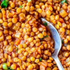 Spoon digging into a bowl of Lentil Stew.