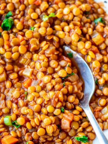 Spoon digging into a bowl of Lentil Stew.