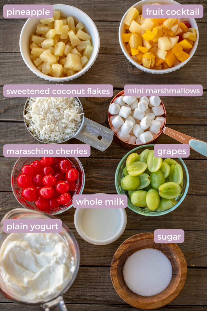 Ingredients for ambrosia salad with labels