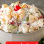 Picture with text of my favorite ambrosia salad
