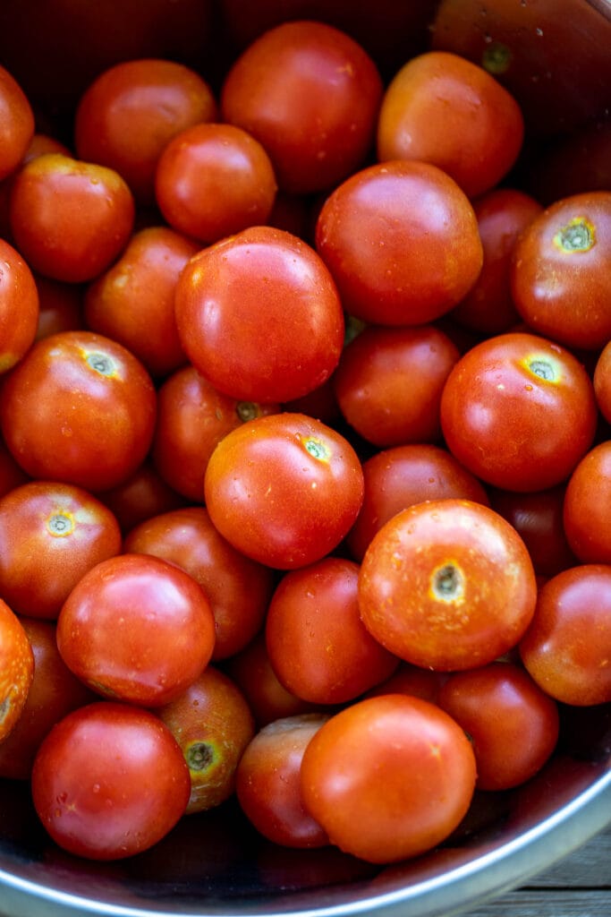 Lots of fresh tomatoes