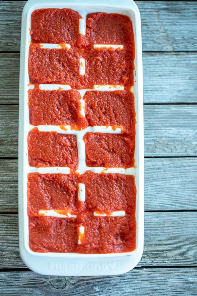 Tomato Paste in an Ice Cube Tray