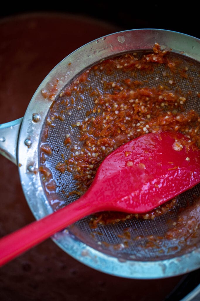 Tomato seeds in fine mesh sieve