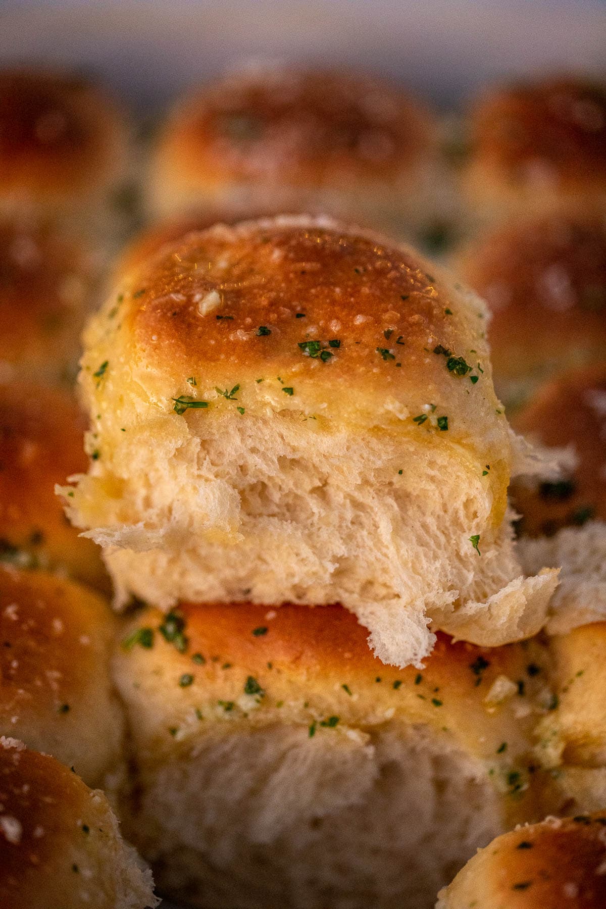 A dinner roll showing soft texture