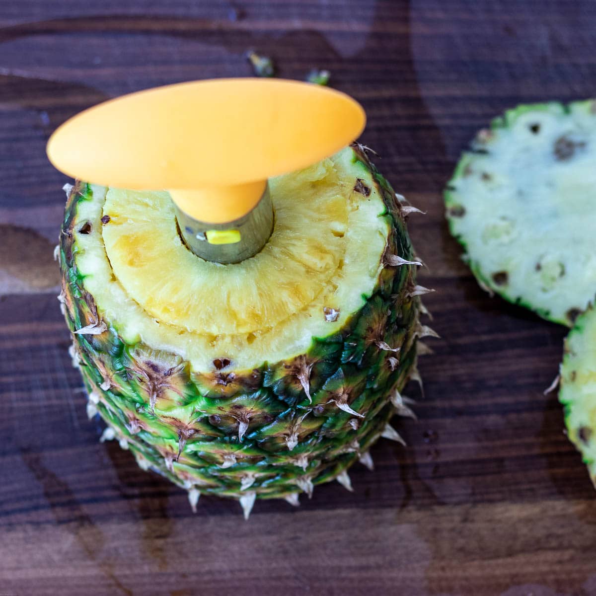 Pineapple corer in a pineapple.