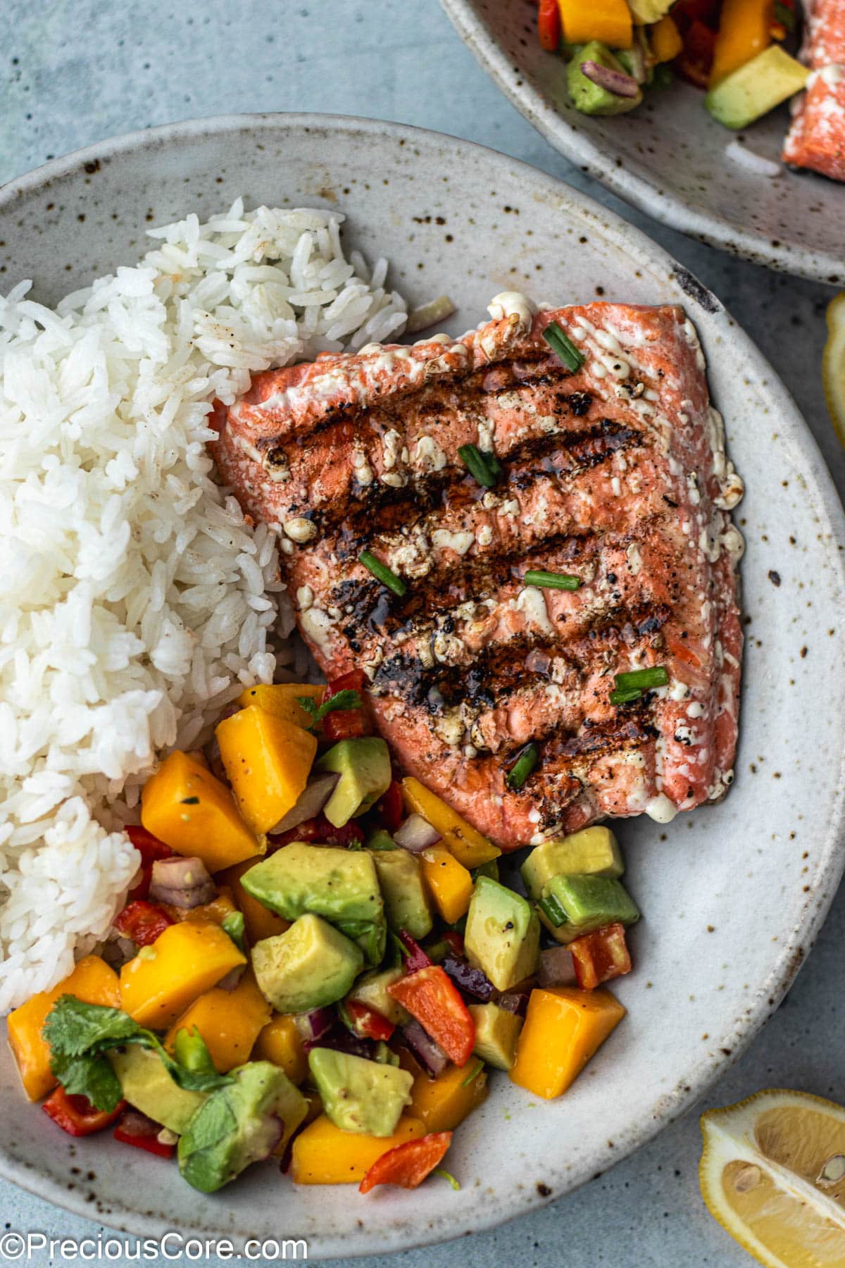 Rice and Salmon in a bowl.