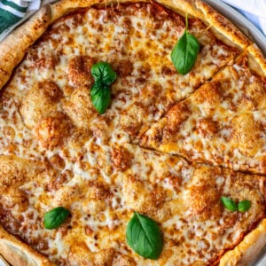 A cheese pizza on a round pizza tray, garnished with basil leaves.