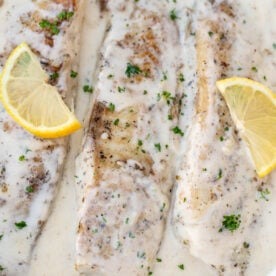 Fish in white sauce with lemon slices.