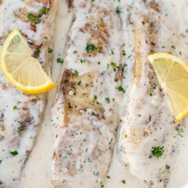 Square image of fish in a creamy sauce.