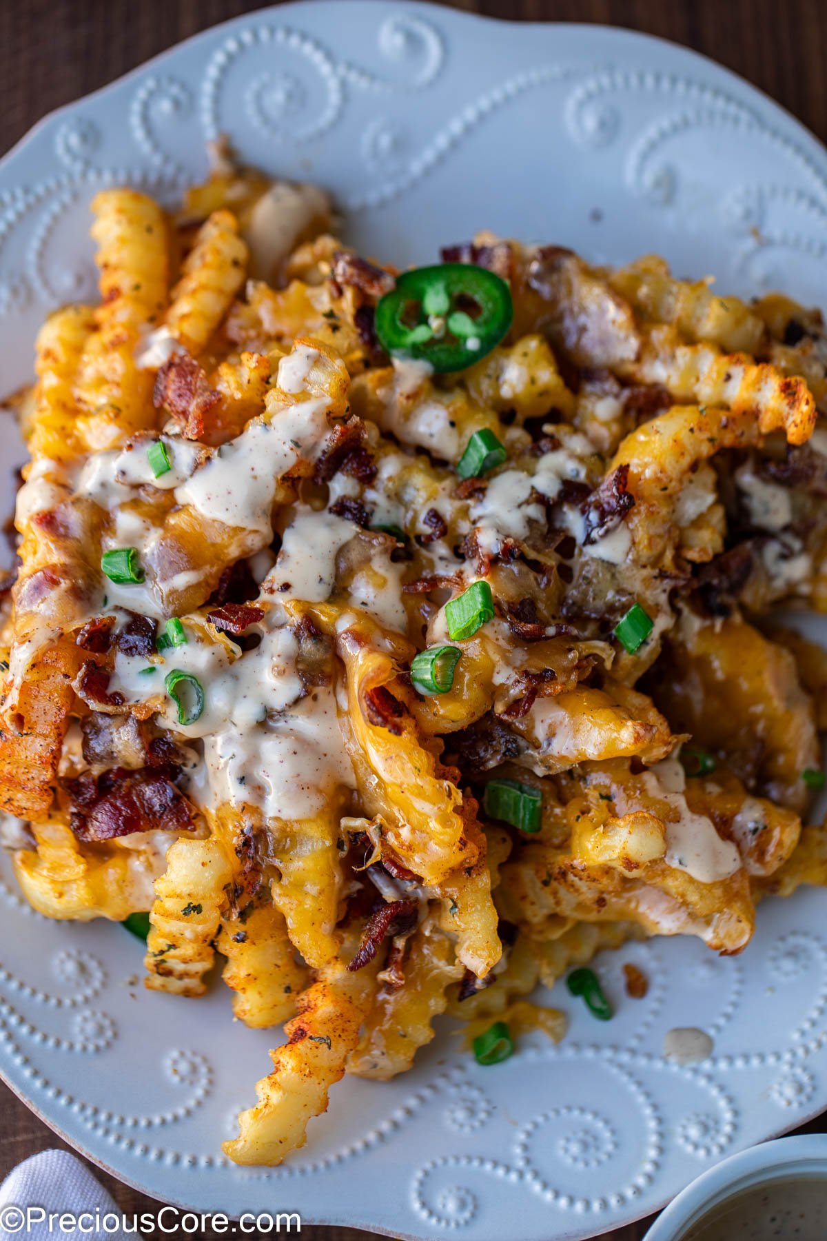 Loaded French Fries on a white plate.