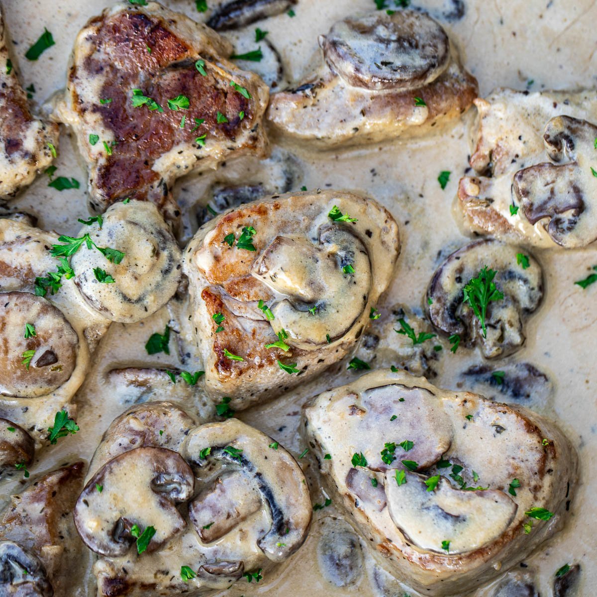 Close-up of seared pork medallions in creamy mushroom sauce.